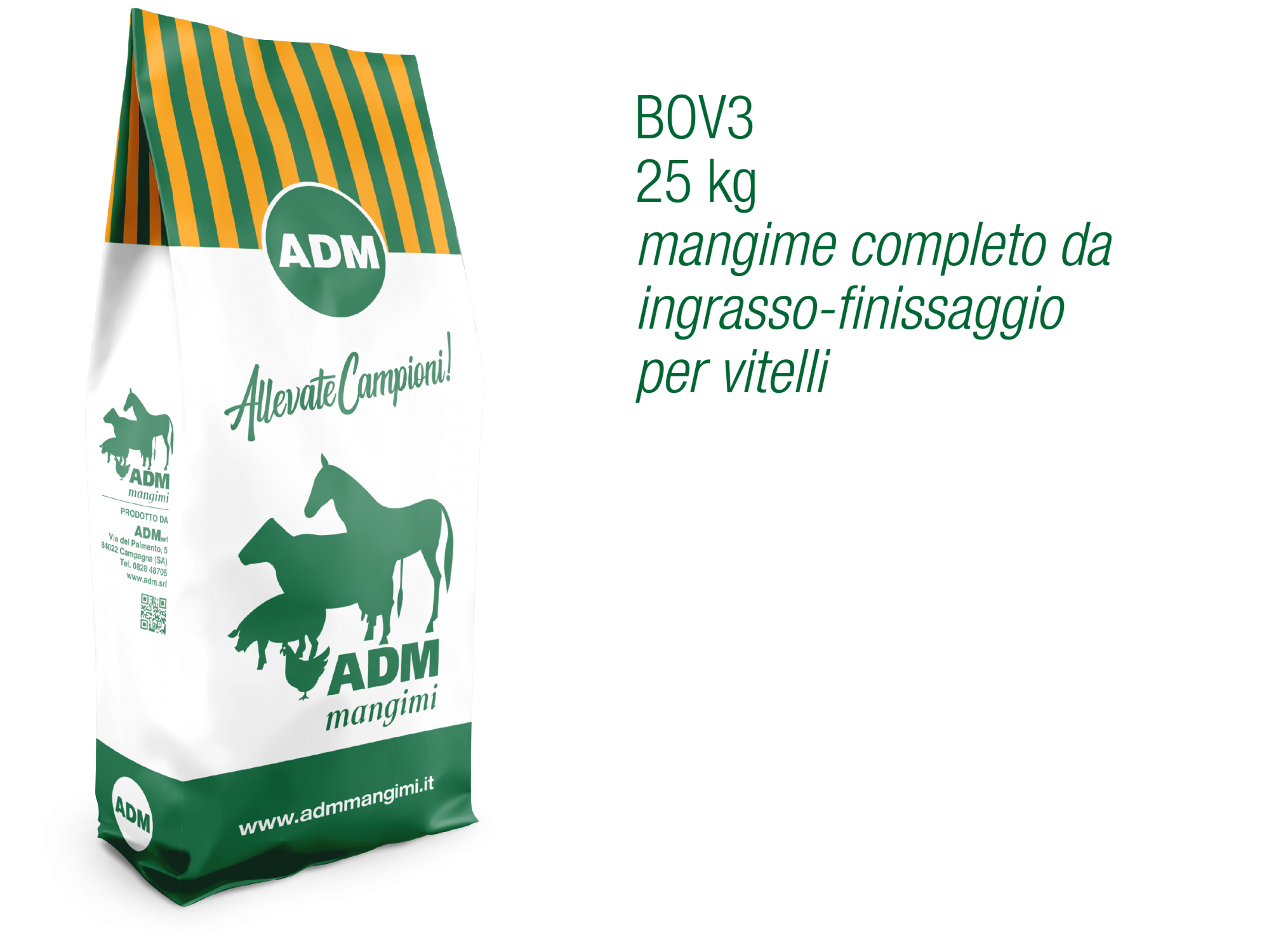 BOV3 FINISSAGGIO
