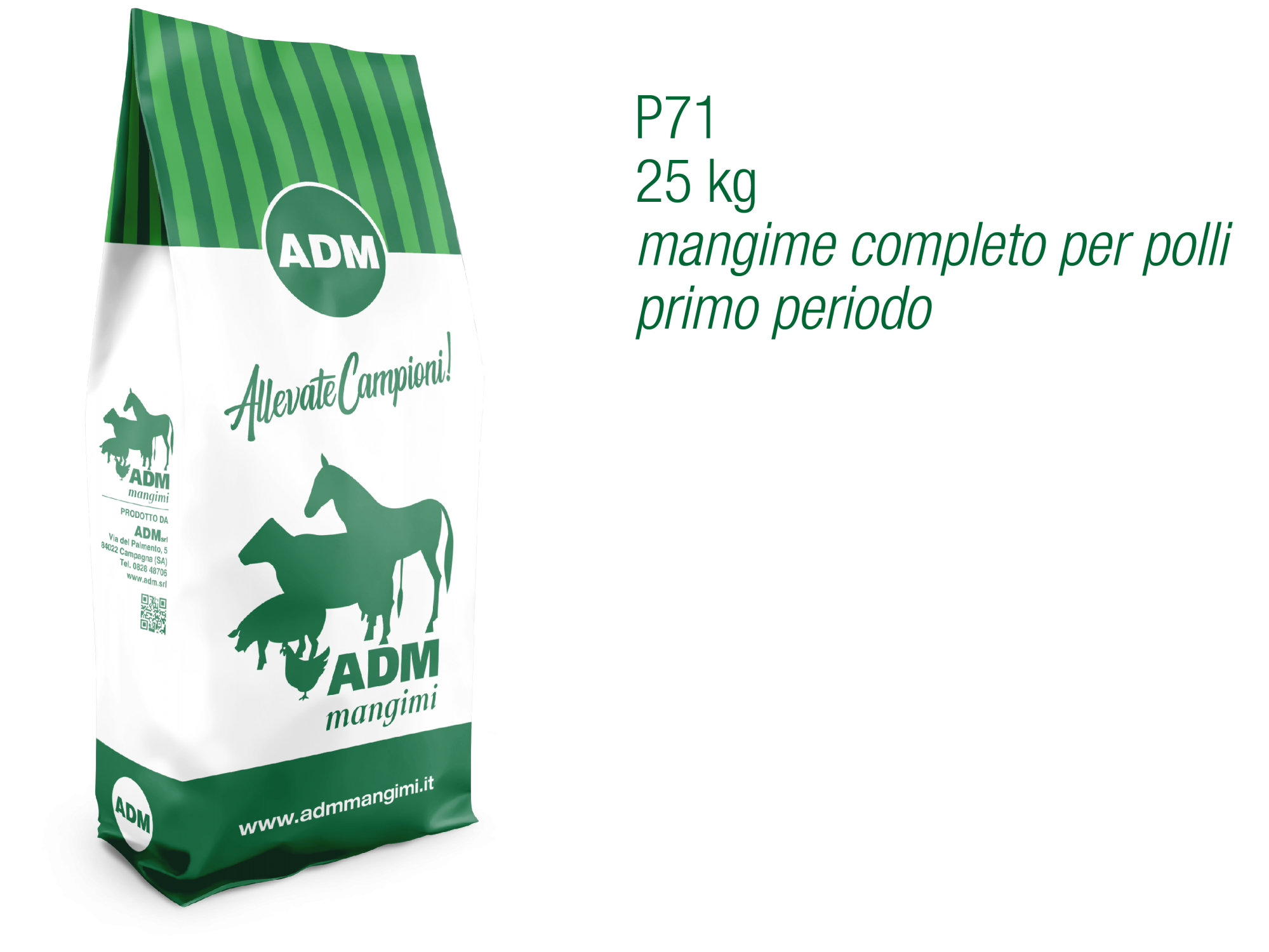 P71 INGRASSO PRIMO PERIODO