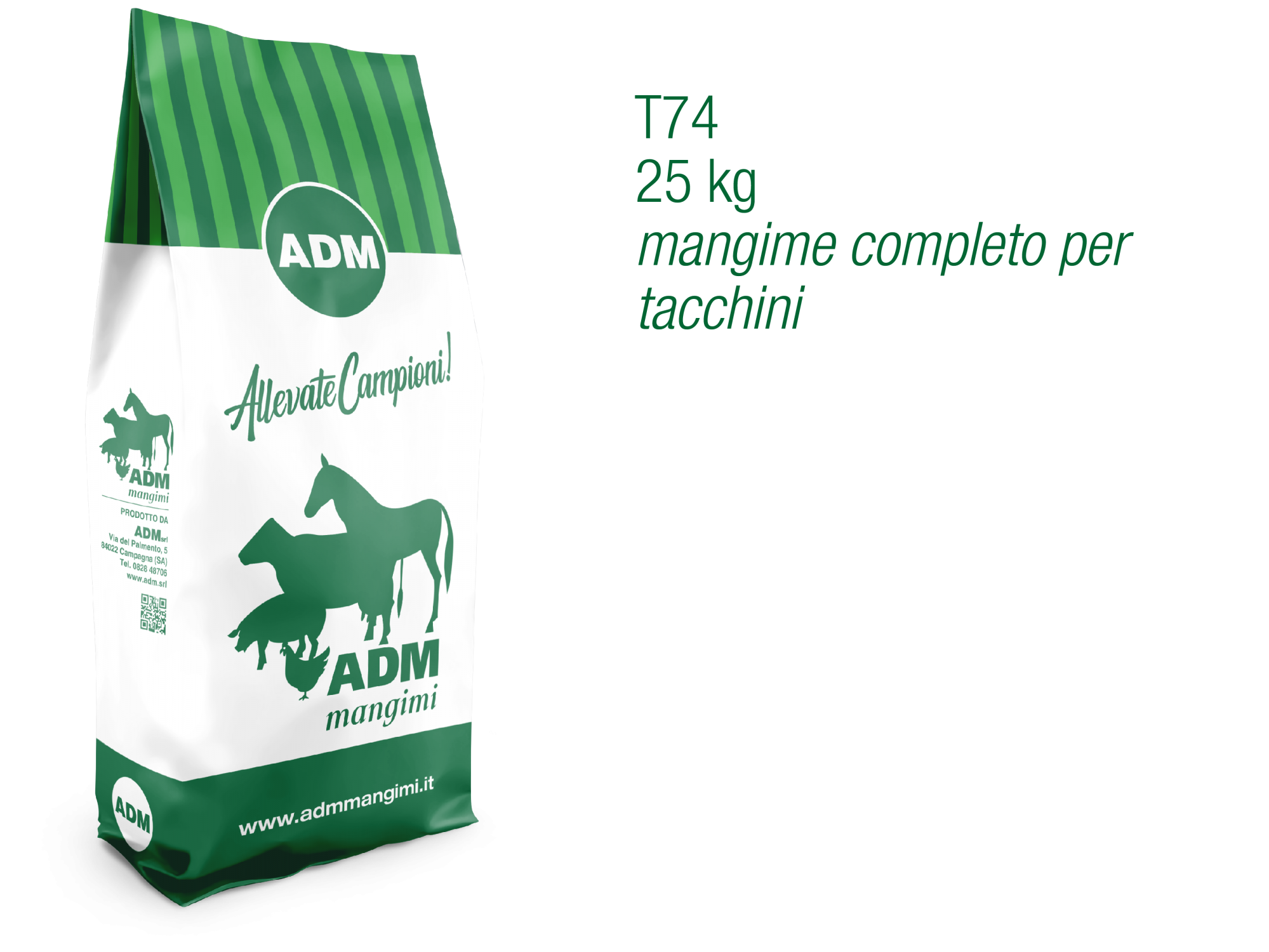 T74 INGRASSO TACCHINI